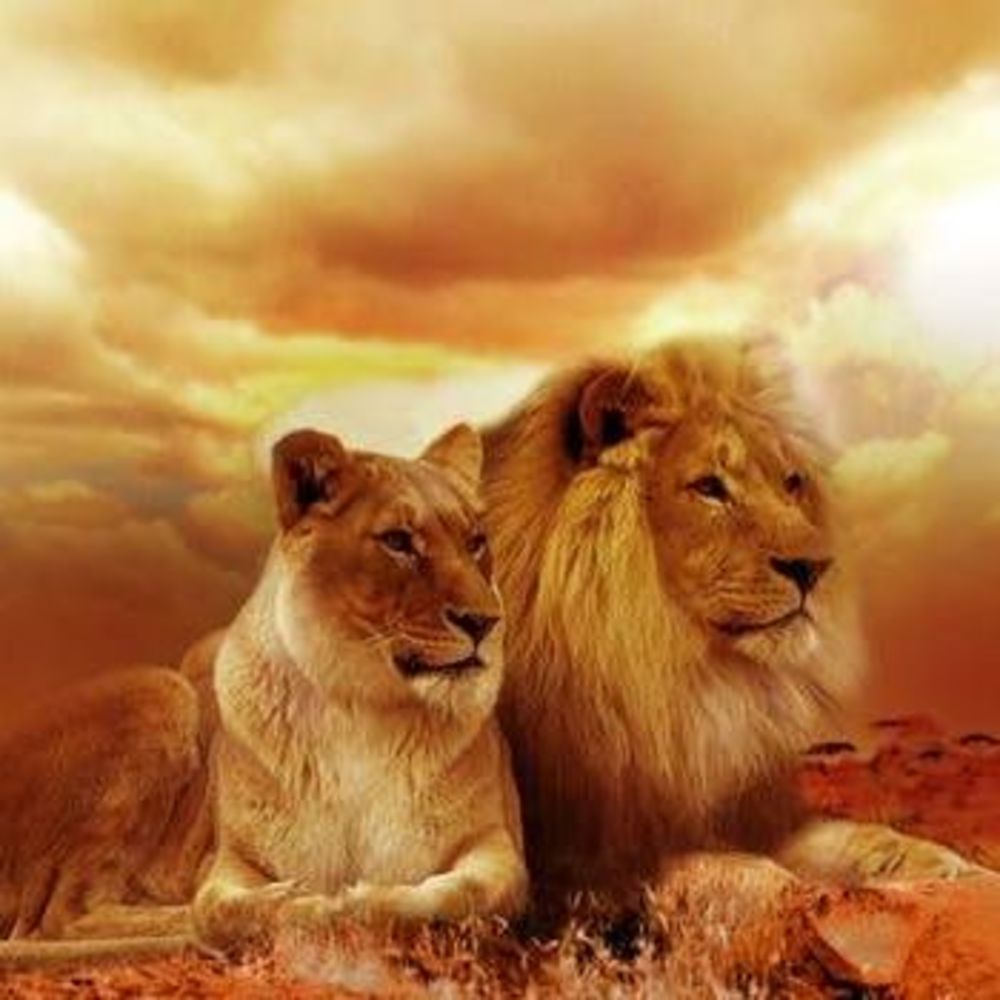 Meet your Posher, Sinclair